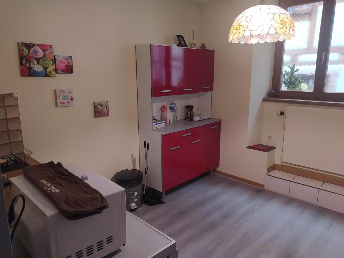 Chey Mybam, Agreable Maison Au Centre De Selestat别墅 外观 照片