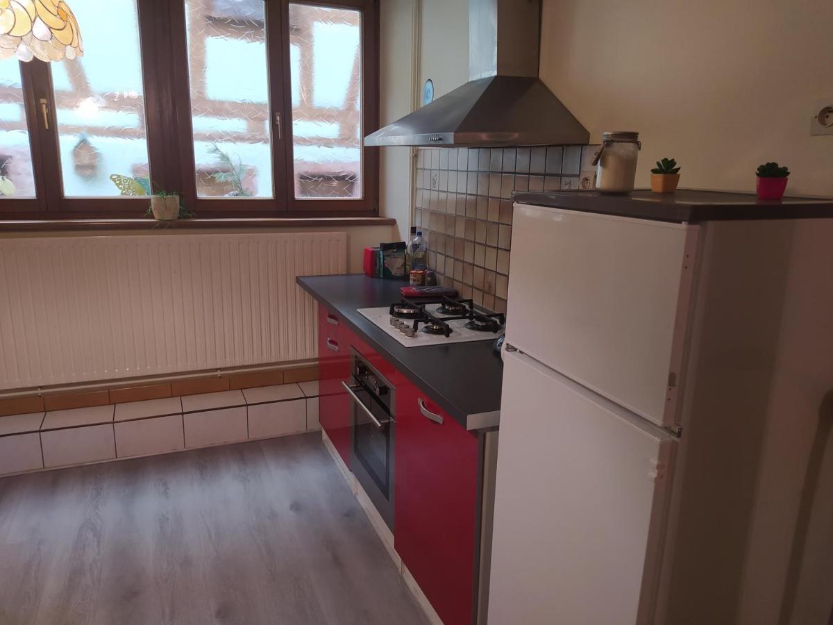 Chey Mybam, Agreable Maison Au Centre De Selestat别墅 外观 照片